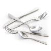 Elegant Western Utensils, 20 Piece Flatware Utensil Setting for 4